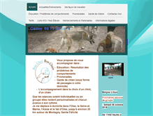 Tablet Screenshot of bonchefbonchien.com